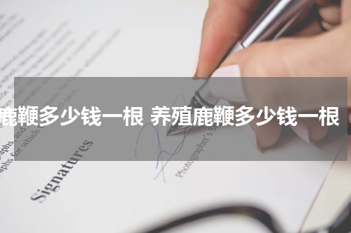 鹿鞭多少钱一根 养殖鹿鞭多少钱一根