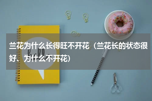 兰花为什么长得旺不开花（兰花长的状态很好、为什么不开花）