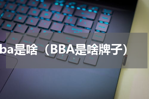 bba是啥（BBA是啥牌子）