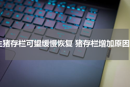 生猪存栏可望缓慢恢复 猪存栏增加原因