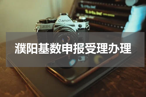 濮阳基数申报受理办理