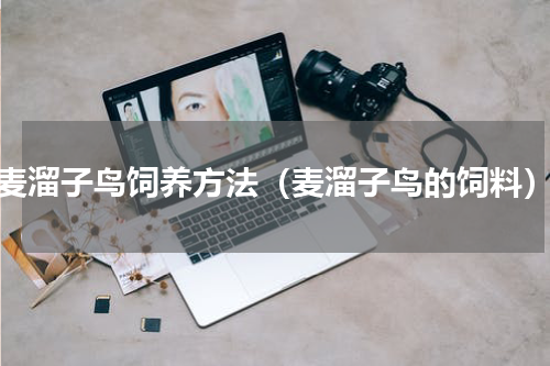 麦溜子鸟饲养方法（麦溜子鸟的饲料）