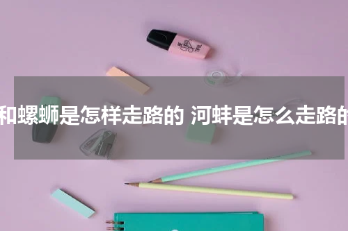 蚌和螺蛳是怎样走路的 河蚌是怎么走路的