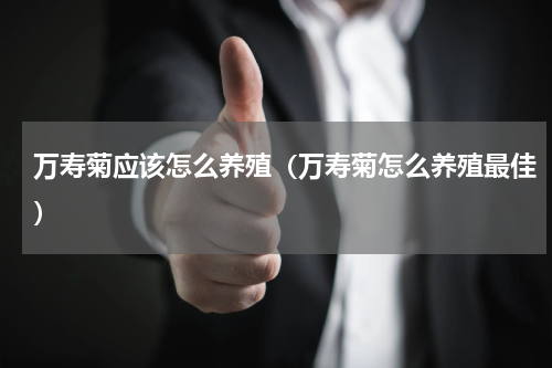 万寿菊应该怎么养殖（万寿菊怎么养殖最佳）