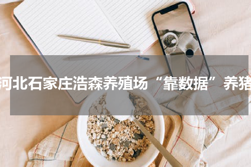 河北石家庄浩森养殖场“靠数据”养猪