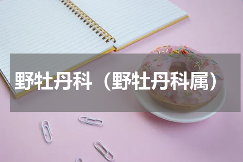 野牡丹科（野牡丹科属）