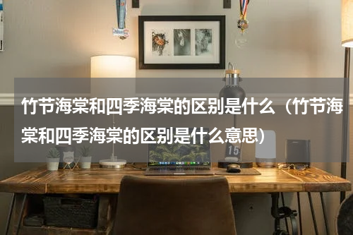 竹节海棠和四季海棠的区别是什么（竹节海棠和四季海棠的区别是什么意思）