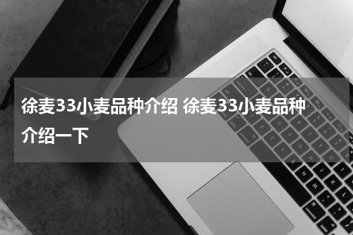 徐麦33小麦品种介绍 徐麦33小麦品种介绍一下