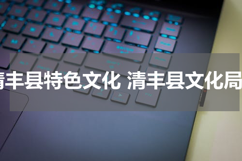 清丰县特色文化 清丰县文化局