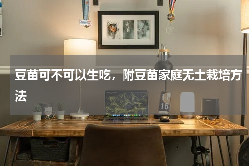 豆苗可不可以生吃，附豆苗家庭无土栽培方法