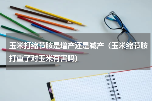 玉米打缩节胺是增产还是减产（玉米缩节胺打重了对玉米有害吗）