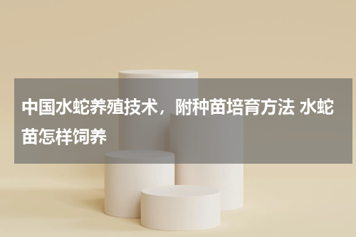 中国水蛇养殖技术，附种苗培育方法 水蛇苗怎样饲养
