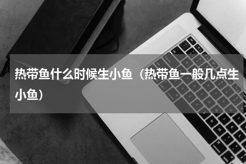 热带鱼什么时候生小鱼（热带鱼一般几点生小鱼）