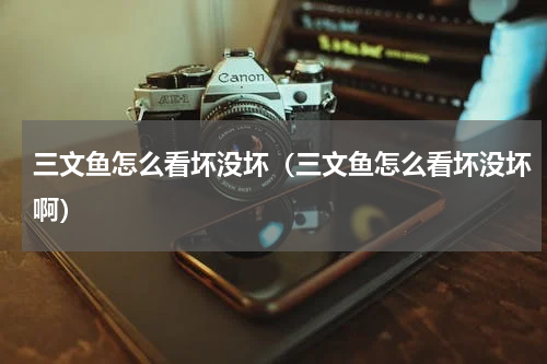 三文鱼怎么看坏没坏（三文鱼怎么看坏没坏啊）