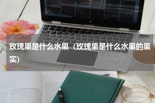 玫瑰果是什么水果（玫瑰果是什么水果的果实）