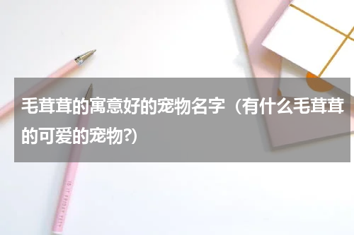 毛茸茸的寓意好的宠物名字（有什么毛茸茸的可爱的宠物?）