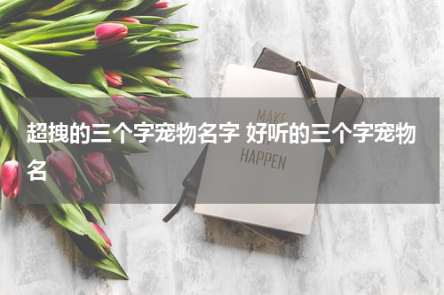 超拽的三个字宠物名字 好听的三个字宠物名