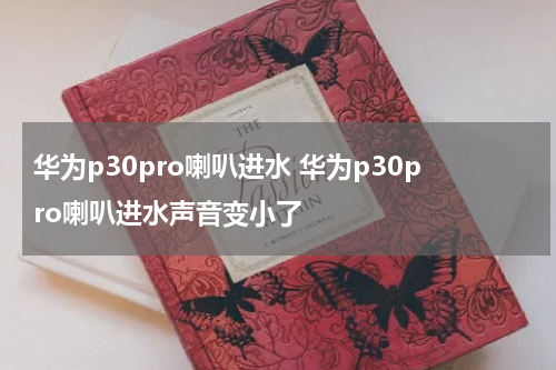 华为p30pro喇叭进水 华为p30pro喇叭进水声音变小了