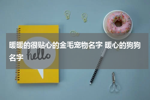 暖暖的很贴心的金毛宠物名字 暖心的狗狗名字