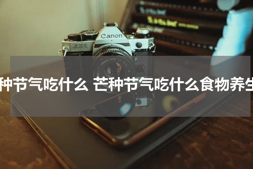 芒种节气吃什么 芒种节气吃什么食物养生