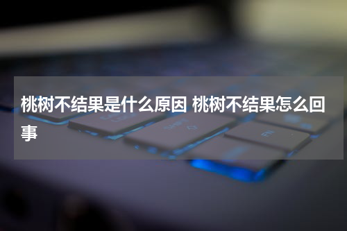 桃树不结果是什么原因 桃树不结果怎么回事