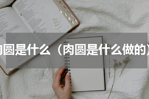 肉圆是什么（肉圆是什么做的）