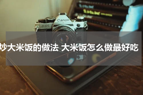 炒大米饭的做法 大米饭怎么做最好吃