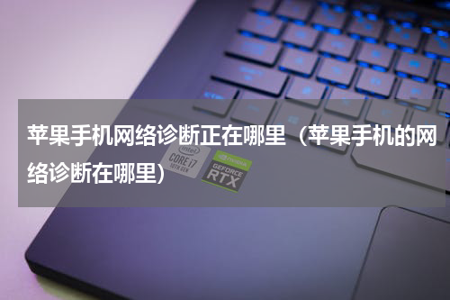 苹果手机网络诊断正在哪里（苹果手机的网络诊断在哪里）