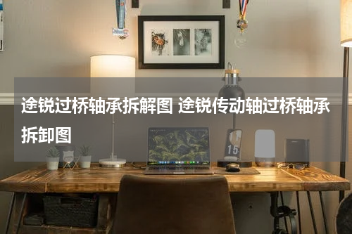 途锐过桥轴承拆解图 途锐传动轴过桥轴承拆卸图