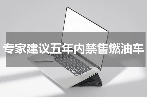 专家建议五年内禁售燃油车