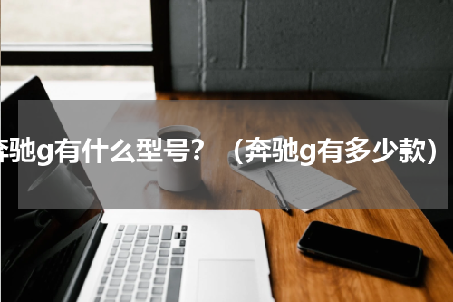 奔驰g有什么型号？（奔驰g有多少款）