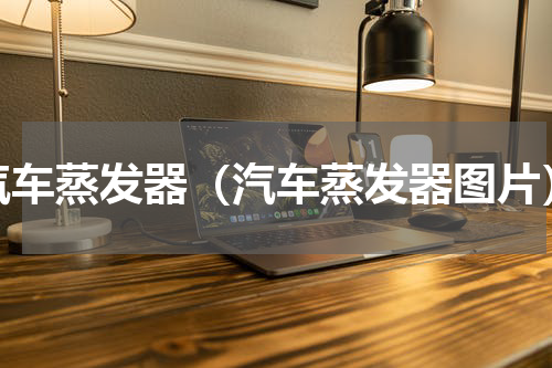 汽车蒸发器（汽车蒸发器图片）