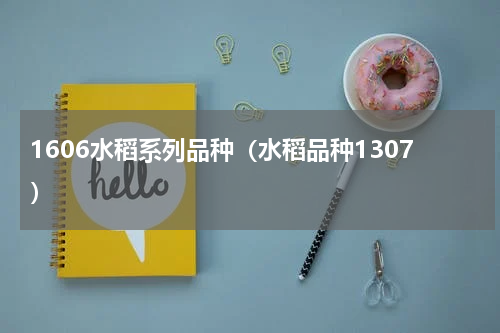 1606水稻系列品种（水稻品种1307）