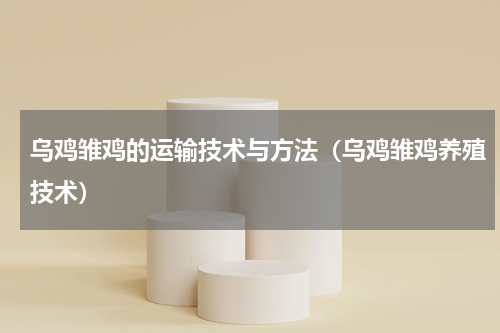 乌鸡雏鸡的运输技术与方法（乌鸡雏鸡养殖技术）