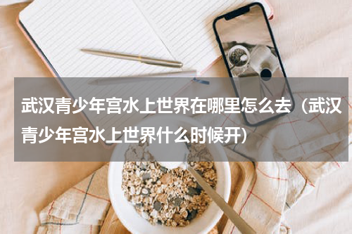 武汉青少年宫水上世界在哪里怎么去（武汉青少年宫水上世界什么时候开）
