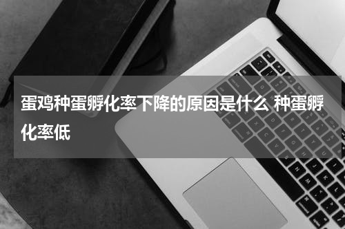 蛋鸡种蛋孵化率下降的原因是什么 种蛋孵化率低