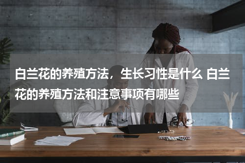 白兰花的养殖方法，生长习性是什么 白兰花的养殖方法和注意事项有哪些