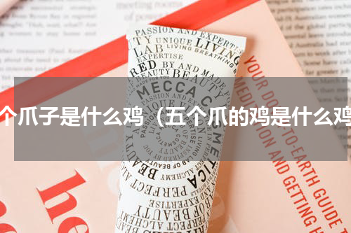 五个爪子是什么鸡（五个爪的鸡是什么鸡）