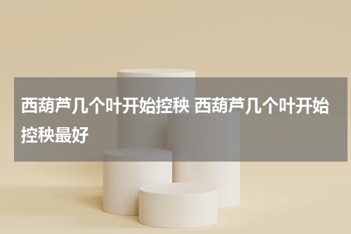 西葫芦几个叶开始控秧 西葫芦几个叶开始控秧最好