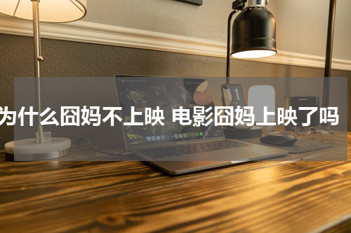 为什么囧妈不上映 电影囧妈上映了吗