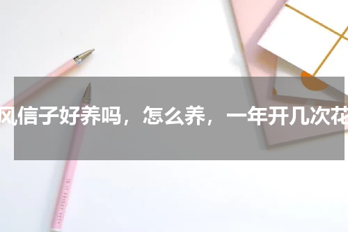 风信子好养吗，怎么养，一年开几次花