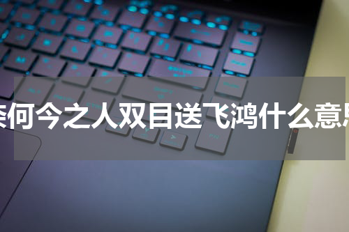 奈何今之人双目送飞鸿什么意思