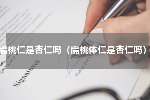 扁桃仁是杏仁吗（扁桃体仁是杏仁吗）