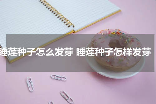 睡莲种子怎么发芽 睡莲种子怎样发芽