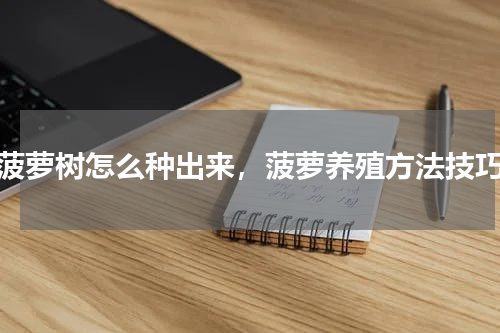 菠萝树怎么种出来，菠萝养殖方法技巧