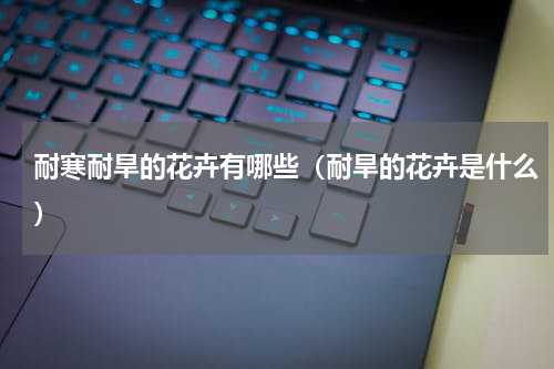 耐寒耐旱的花卉有哪些（耐旱的花卉是什么）