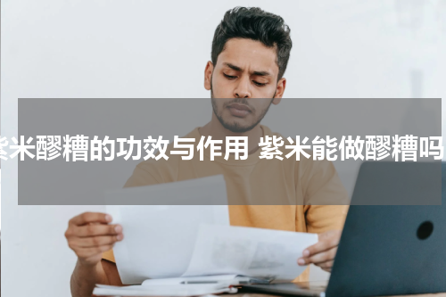 紫米醪糟的功效与作用 紫米能做醪糟吗