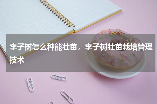 李子树怎么种能壮苗，李子树壮苗栽培管理技术
