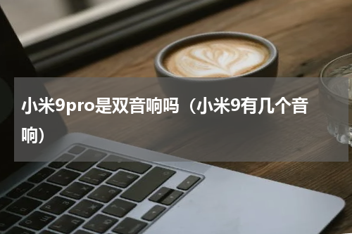 小米9pro是双音响吗（小米9有几个音响）