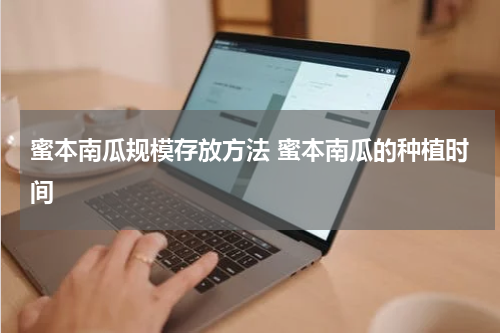 蜜本南瓜规模存放方法 蜜本南瓜的种植时间